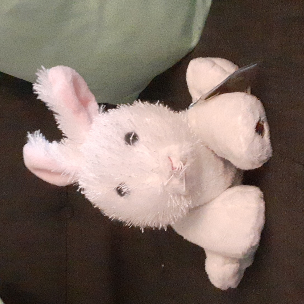 Webkinz Rabbit w/ tag